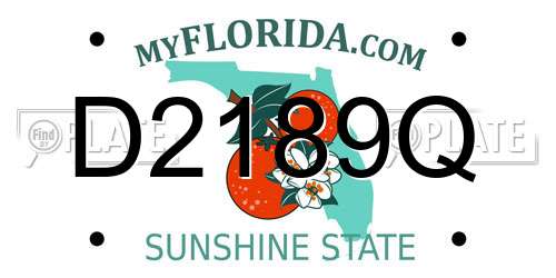 D2189Q Florida License Plate