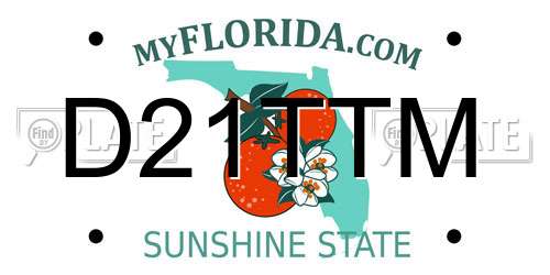 D21TTM Florida License Plate