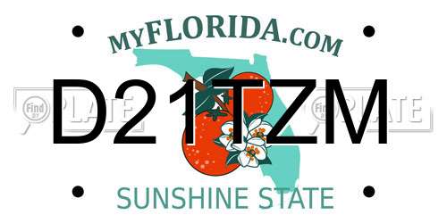 D21TZM Florida License Plate