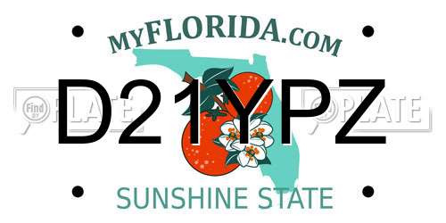 D21YPZ Florida License Plate