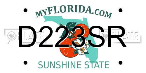 D223SR Florida License Plate