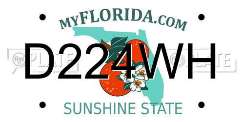 D224WH Florida License Plate