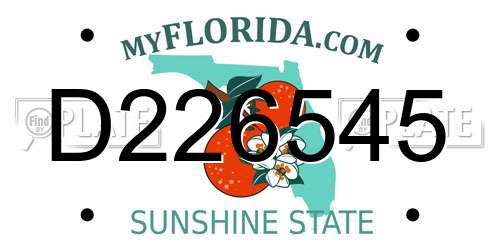 D226545 Florida License Plate