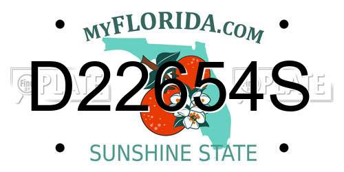 D22654S Florida License Plate