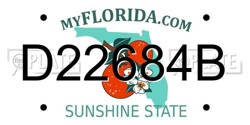 D22684B Florida License Plate