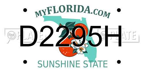 D2295H Florida License Plate