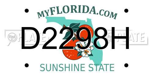 D2298H Florida License Plate