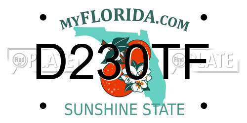 D230TF Florida License Plate