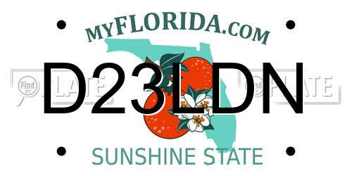 D23LDN Florida License Plate