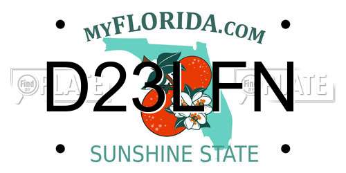 D23LFN Florida License Plate