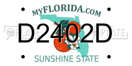 D2402D Florida License Plate