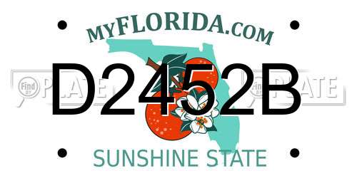 D2452B Florida License Plate