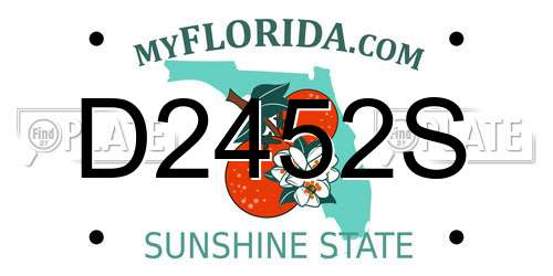 D2452S Florida License Plate
