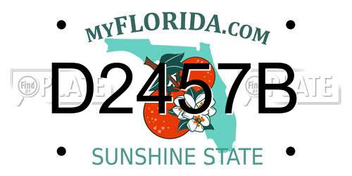 D2457B Florida License Plate