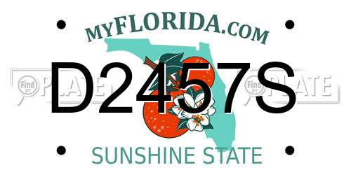 D2457S Florida License Plate