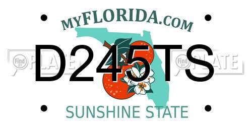 D245TS Florida License Plate