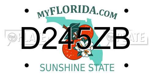 D245ZB Florida License Plate