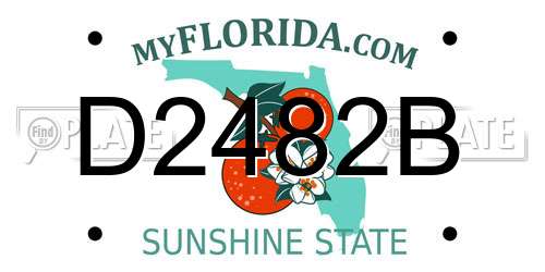 D2482B Florida License Plate