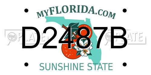 D2487B Florida License Plate