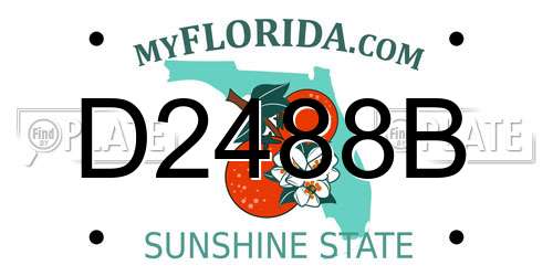 D2488B Florida License Plate