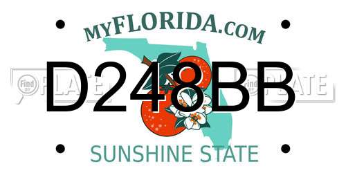 D248BB Florida License Plate