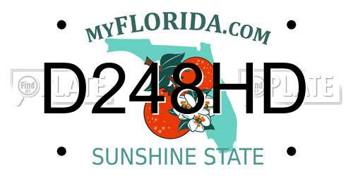 D248HD Florida License Plate