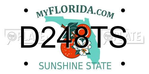 D248TS Florida License Plate
