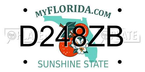 D248ZB Florida License Plate