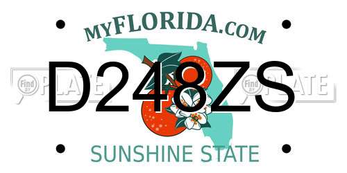 D248ZS Florida License Plate