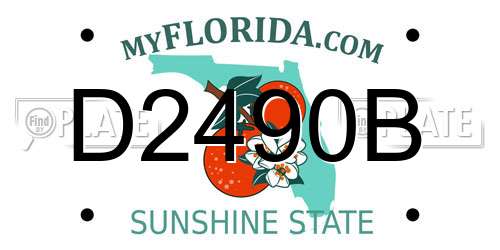 D2490B Florida License Plate