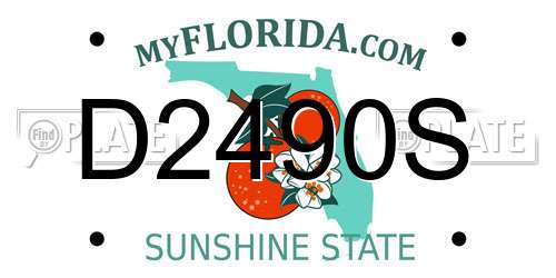 D2490S Florida License Plate
