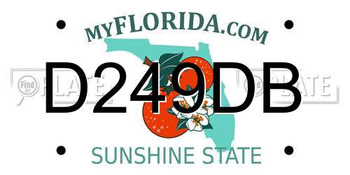 D249DB Florida License Plate