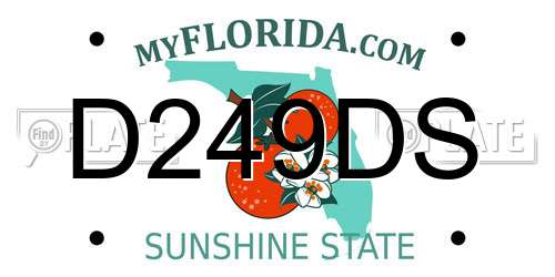 D249DS Florida License Plate