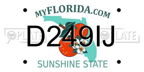 D249IJ Florida License Plate