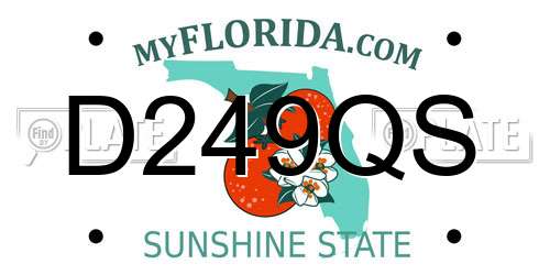 D249QS Florida License Plate