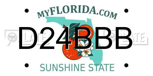 D24BBB Florida License Plate
