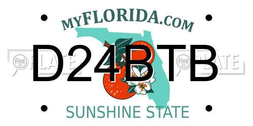 D24BTB Florida License Plate