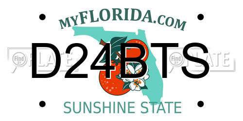 D24BTS Florida License Plate