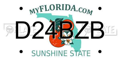 D24BZB Florida License Plate