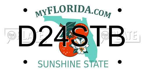 D24STB Florida License Plate