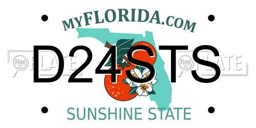 D24STS Florida License Plate
