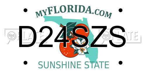 D24SZS Florida License Plate