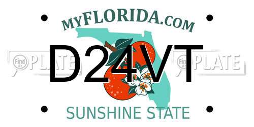 D24VT Florida License Plate