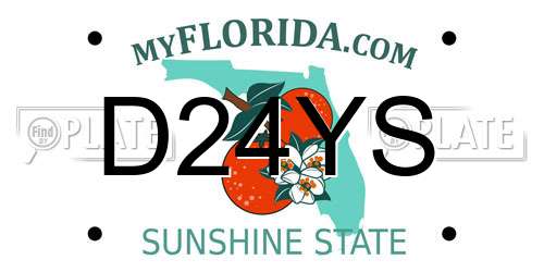 D24YS Florida License Plate