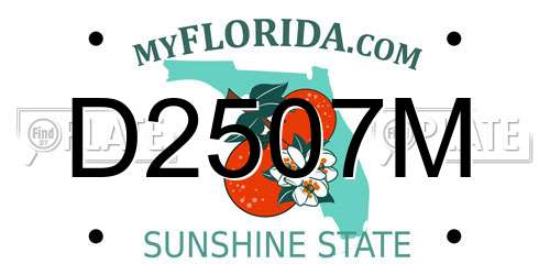 D2507M Florida License Plate