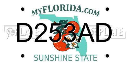 D253AD Florida License Plate