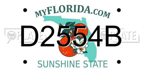 D2554B Florida License Plate