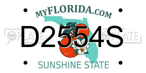 D2554S Florida License Plate