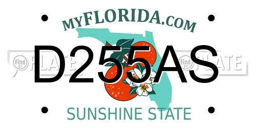 D255AS Florida License Plate