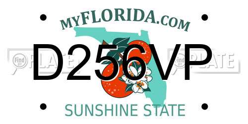 D256VP Florida License Plate